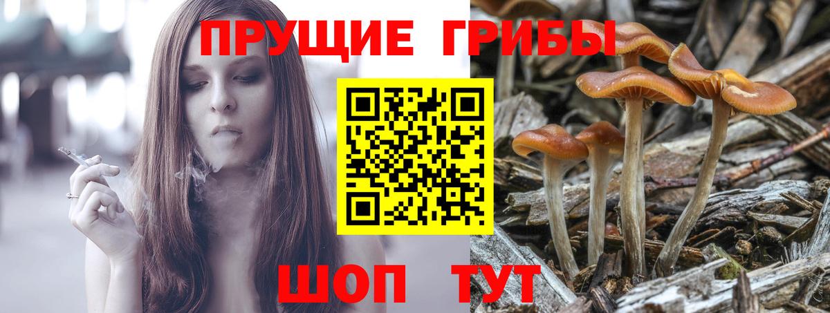 Псилоцибиновые грибы мухоморы  Псилоцибиновые грибы Psilocybine cubensis  Приморско-Ахтарск  Вход с VPN 